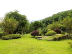 -铁山坪森林公园