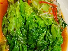 -新侨小馆(东直门北小街店)