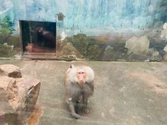 -无锡动物园·太湖欢乐园
