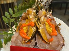 -喜聚薈·花膠雞海鮮火鍋(越秀店)