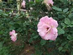 -人民公园(罗湖区)