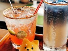 -柴犬高等学院·狗咖·柴犬售卖·宠物训练