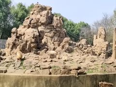 -合肥野生动物园