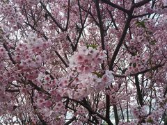 -福建鲤鱼洲酒店