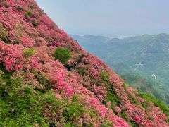 -木兰云雾山