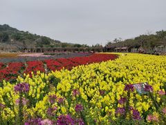 -丹樱生态园