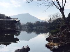 -西湖外事游船(花港观鱼码头)