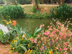 -人民公园(罗湖区)