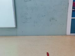 -贝乐少儿英语·全外教(滨江中心)