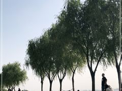 -漕湖湿地公园