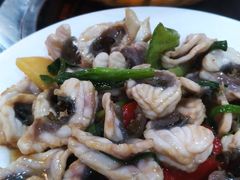 -豪华脆肉鲩
