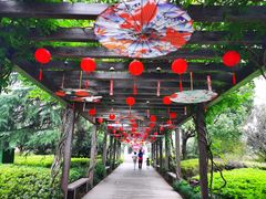 -白马涧龙池景区