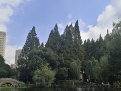 -月湖公园