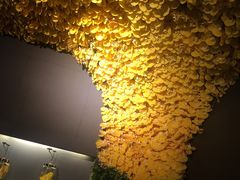 -花见无国界料理(科林楼店)
