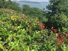 -天目湖涵田半山温泉