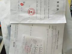 -金雁飞鸣双语幼儿园