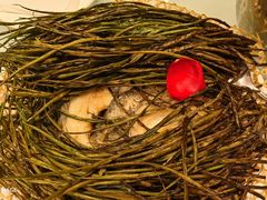 -老吉士(环贸iapm店)