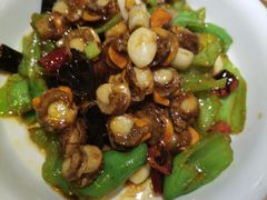 辣炒扇贝肉-船歌鱼水饺(华联万柳店)