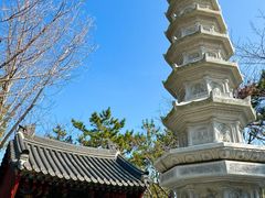 -海东龙宫寺