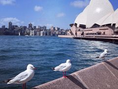 -悉尼歌剧院