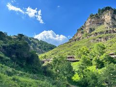 -芦芽山旅游度假区