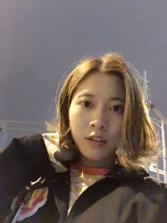 -大象造型