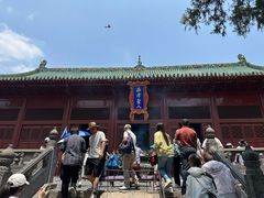 -豫丰汇河南名菜楼(武记餐饮)