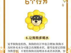 -莘程宠物医院(金山店)