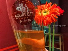 -Boxing Cat Brewery拳击猫精酿啤酒馆(永福店)
