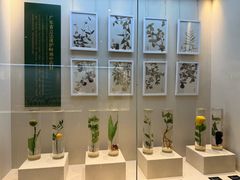 -广东中医药博物馆