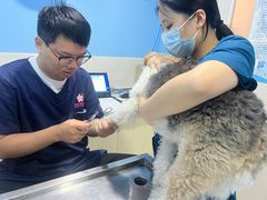 -哆趣宠物医院·眼科·内镜·急重症转诊中心(上海店)