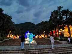 -重庆海昌加勒比海水世界