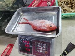 -胖大嫂渔家排档(半边山店)