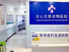 -全心全意连锁动物医院(加州店)