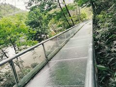 -木兰云雾山