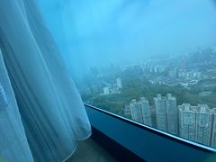 -上海龙之梦万丽酒店