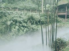 -青城山