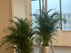 -YCHL FIT 健身(星寰店)
