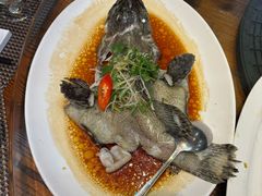 -大门水乡·顺德菜