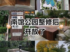 -南馆公园