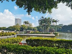 -荔湾湖公园