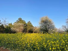 -名花谷生态庄园