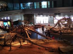 -自贡恐龙博物馆