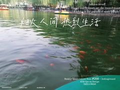 -莲湖公园