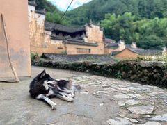 -杨家堂村