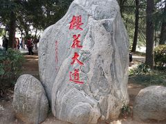 -武汉大学-樱园