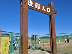 -御道口草原森林风景区