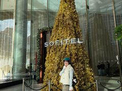 -圣丰索菲特·2 On 988 Café 自助餐厅