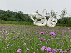 -东郊湿地公园