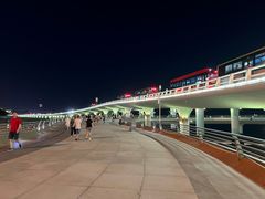 -演武大桥观景平台